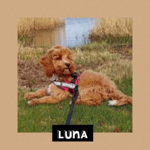 luna