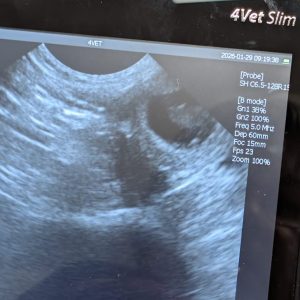 c906c2a3-5165-4e05-a644-f14efda85828